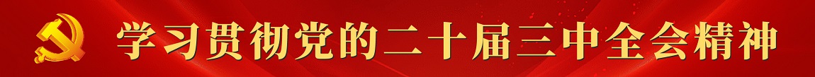 学习贯彻党的二十届三中全会精神